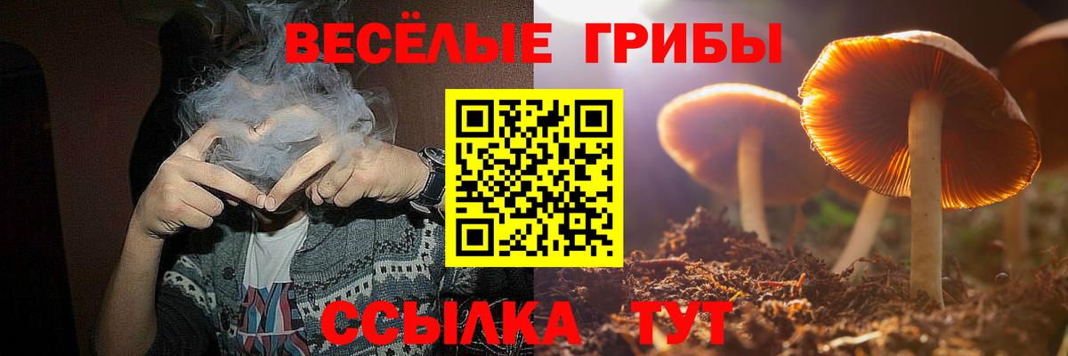 Галлюциногенные грибы прущие грибы Рассказово